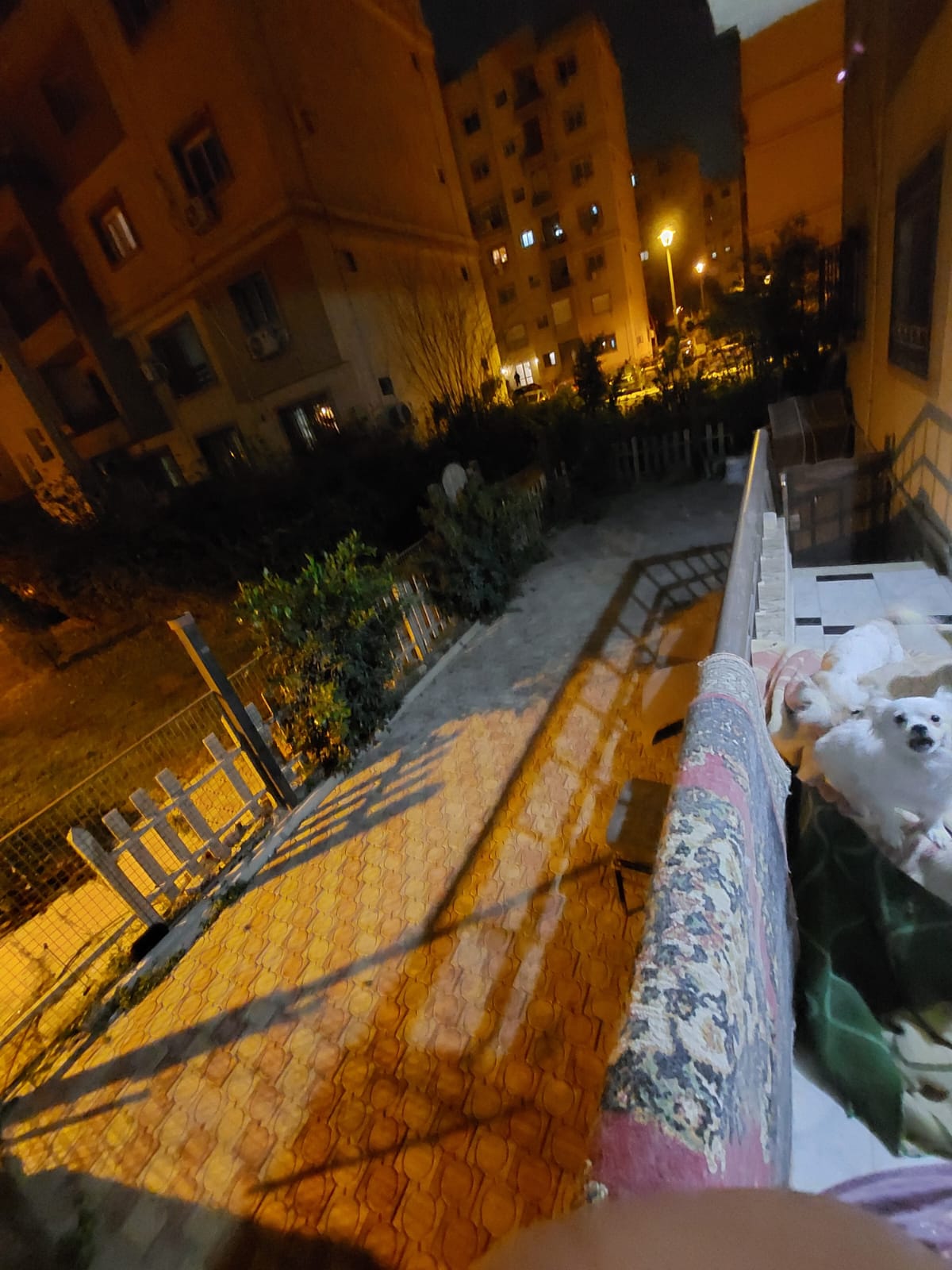 شقة في مدينتي 122 م2 للبيع كاش بحري على حديقة كبيرة استلام فوري 7,500,000 ج 